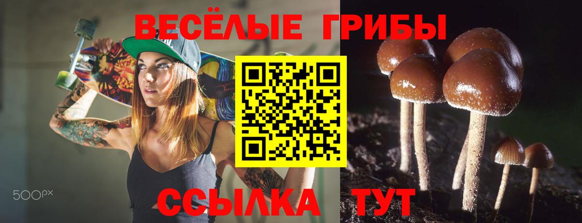 Петрозаводск  Псилоцибиновые грибы мицелий  Вход с VPN 